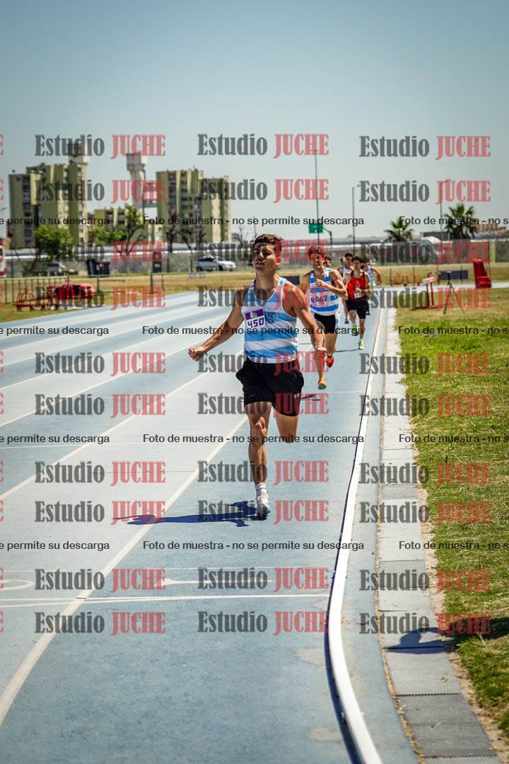 Fotos de los 800 m llanos de varones