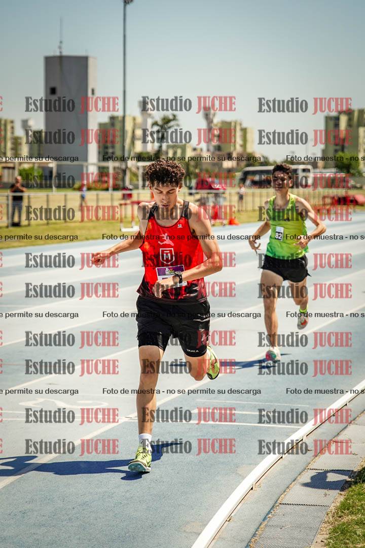 Fotos de los 800 m llanos de varones