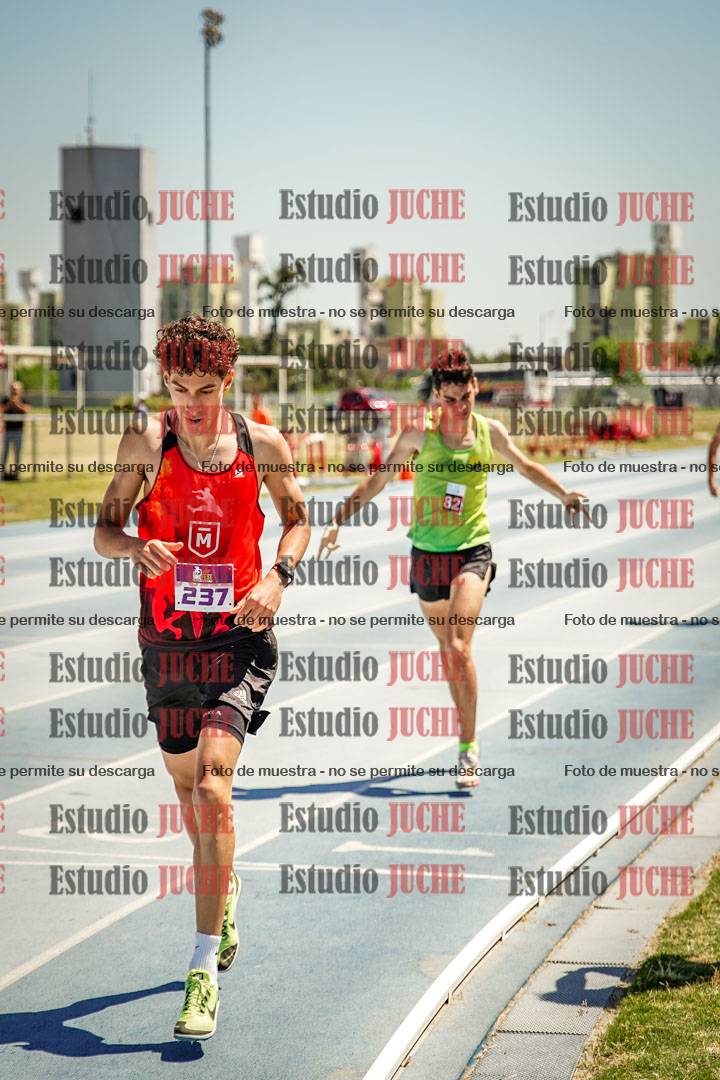 Fotos de los 800 m llanos de varones
