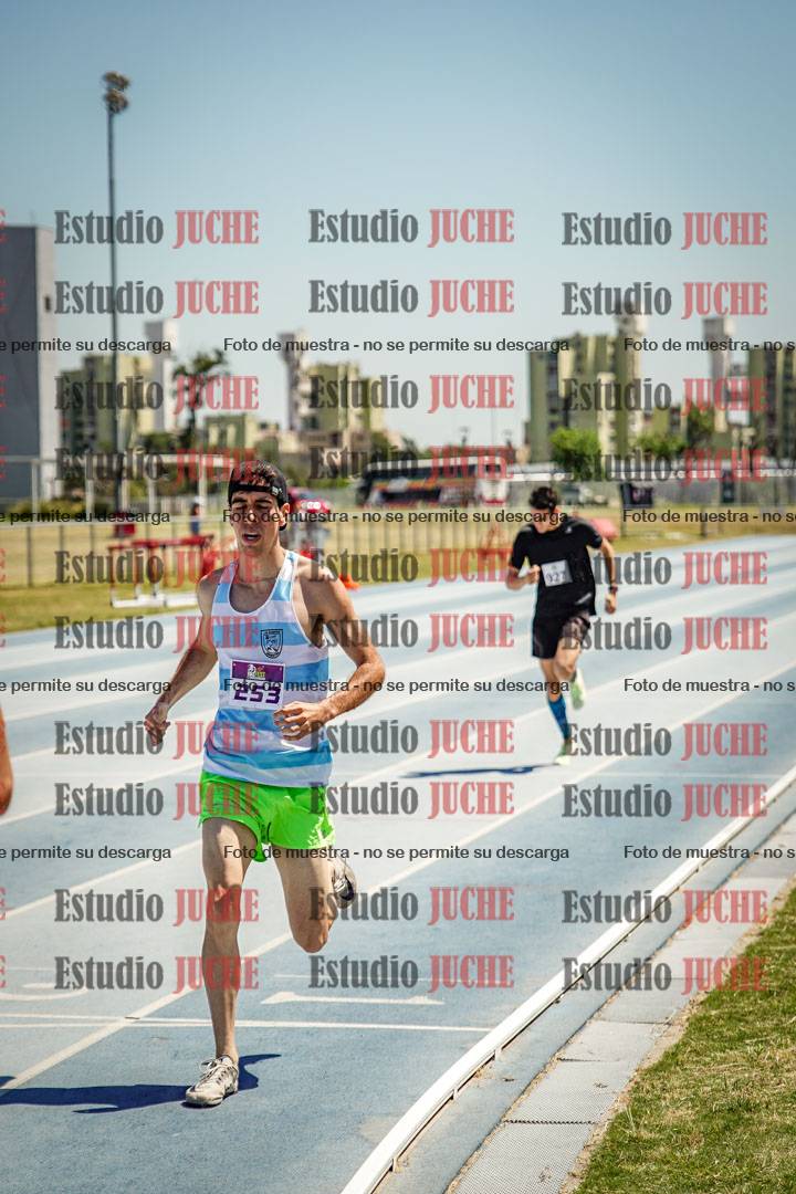 Fotos de los 800 m llanos de varones