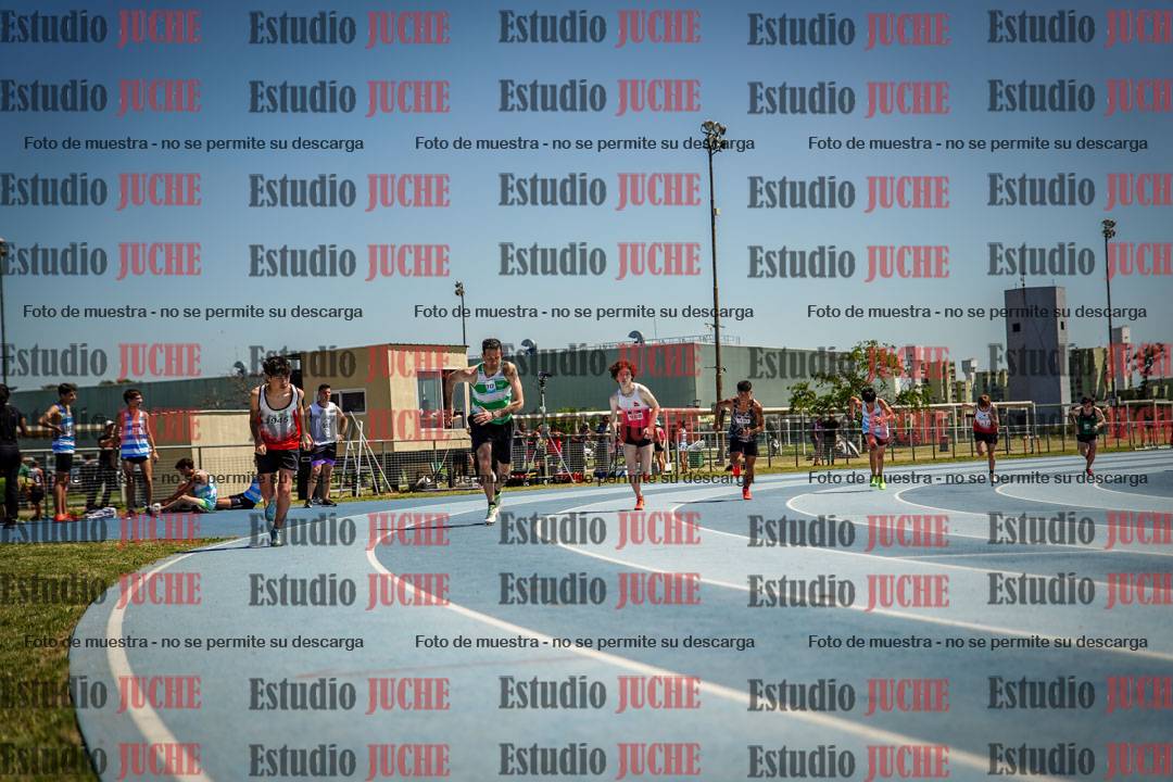 Fotos de los 800 m llanos de varones