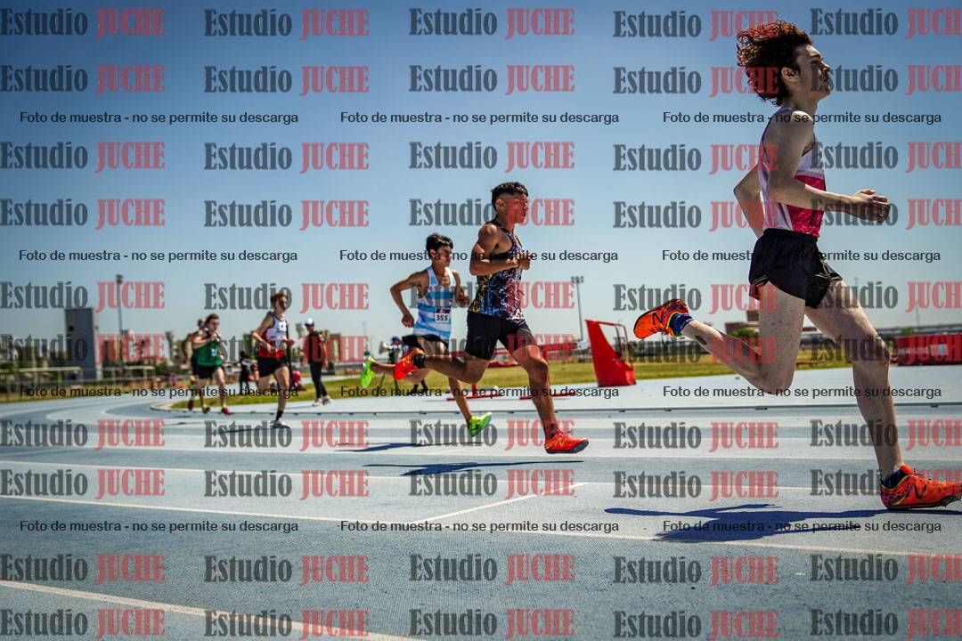 Fotos de los 800 m llanos de varones