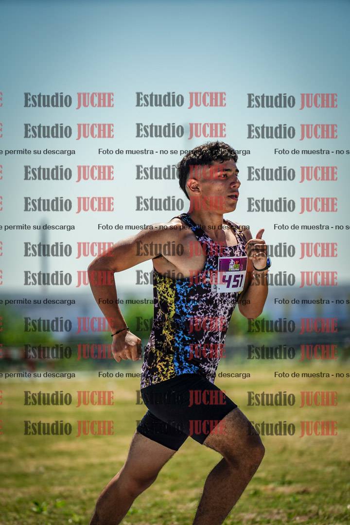 Fotos de los 800 m llanos de varones