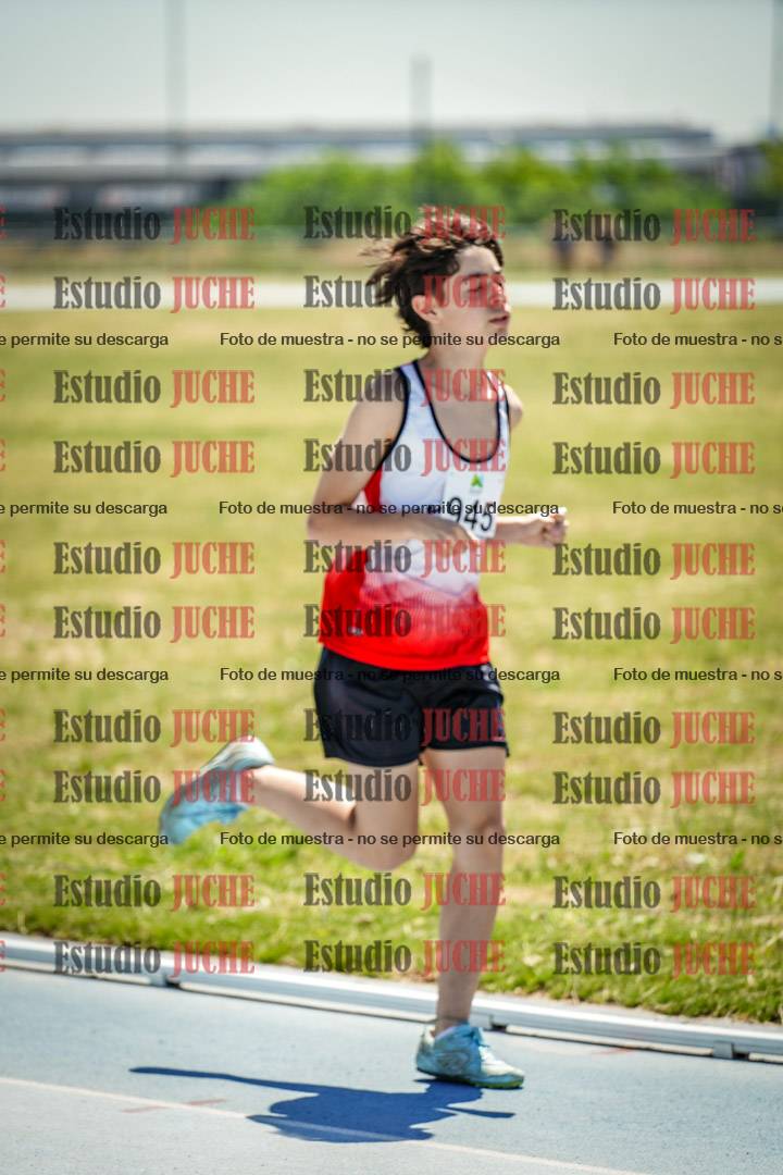 Fotos de los 800 m llanos de varones