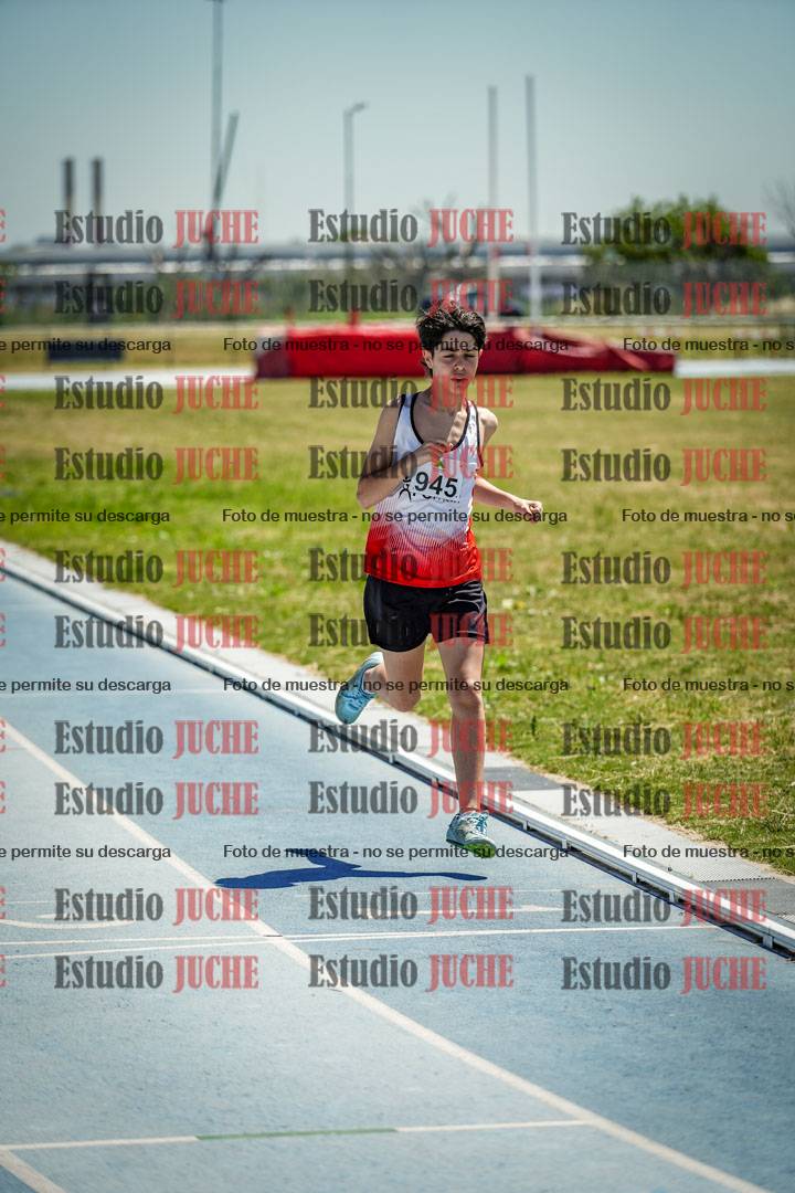 Fotos de los 800 m llanos de varones