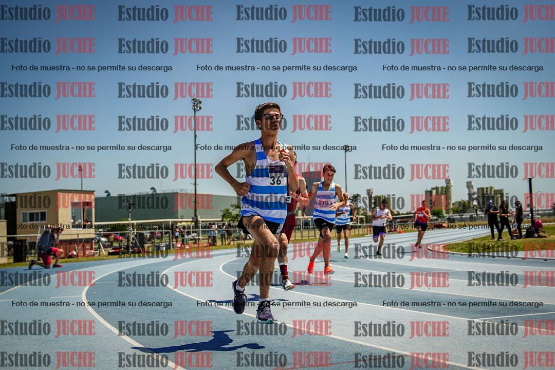 Fotos de los 800 m llanos de varones