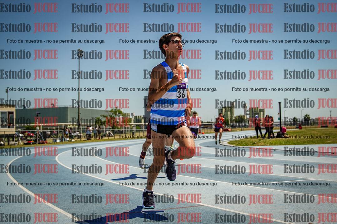 Fotos de los 800 m llanos de varones