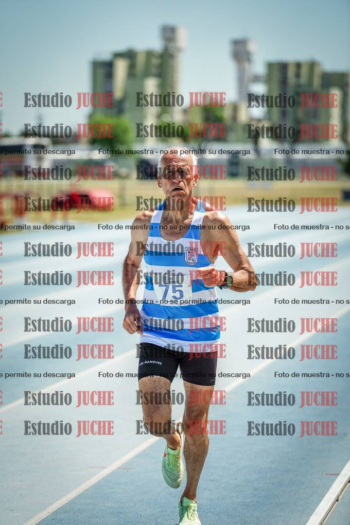 Fotos de los 800 m llanos de varones