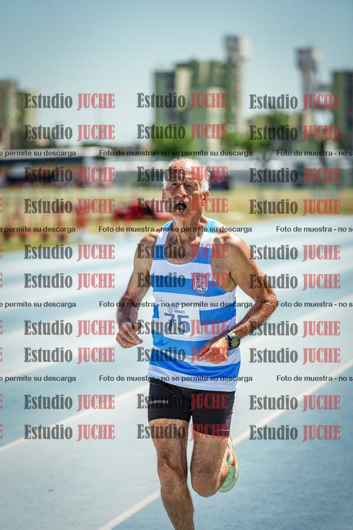 Fotos de los 800 m llanos de varones