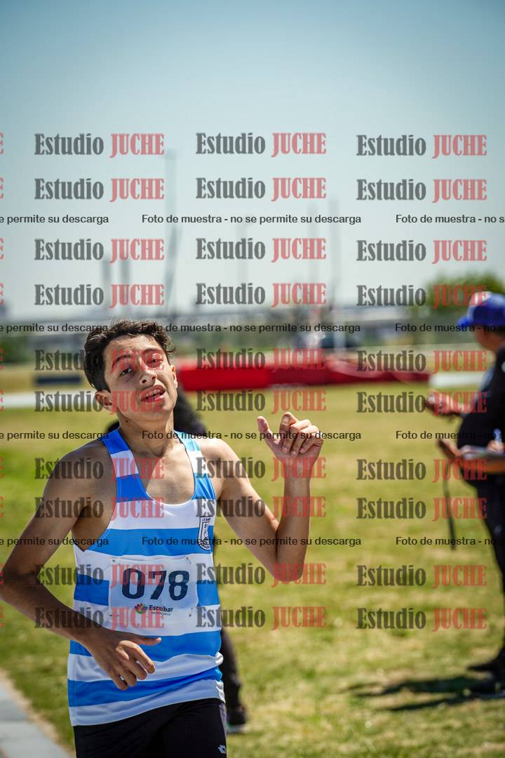 Fotos de los 800 m llanos de varones