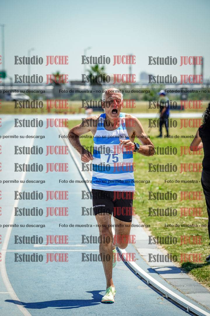 Fotos de los 800 m llanos de varones