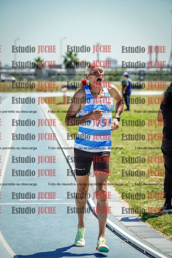 Fotos de los 800 m llanos de varones