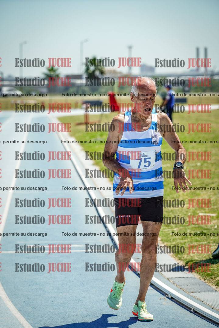 Fotos de los 800 m llanos de varones