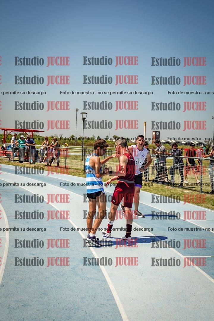 Fotos de los 800 m llanos de varones