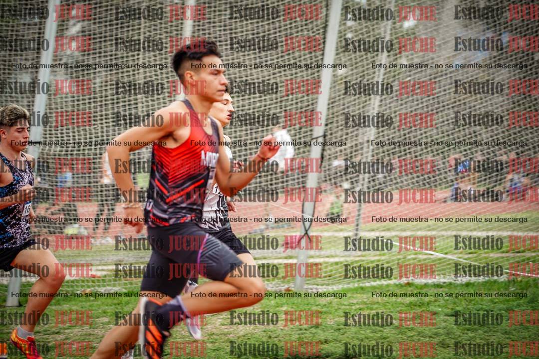 Fotos de los 800 m llanos de varones