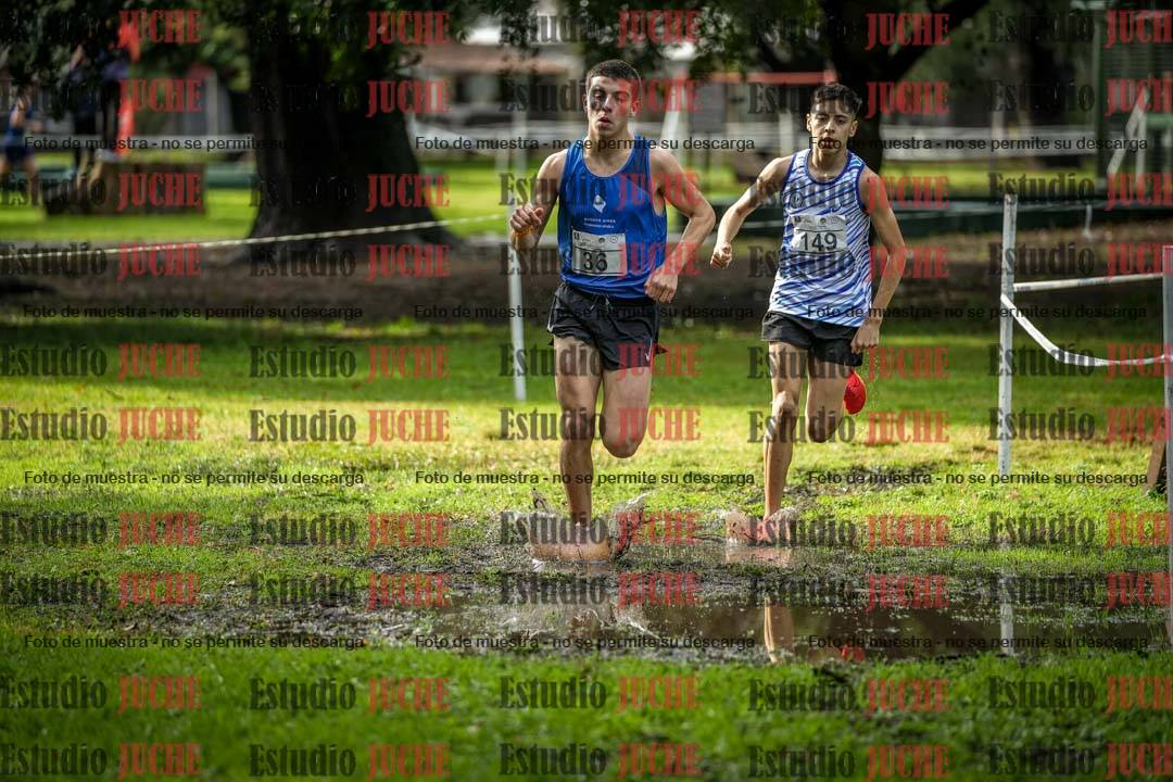Fotos en el circuito