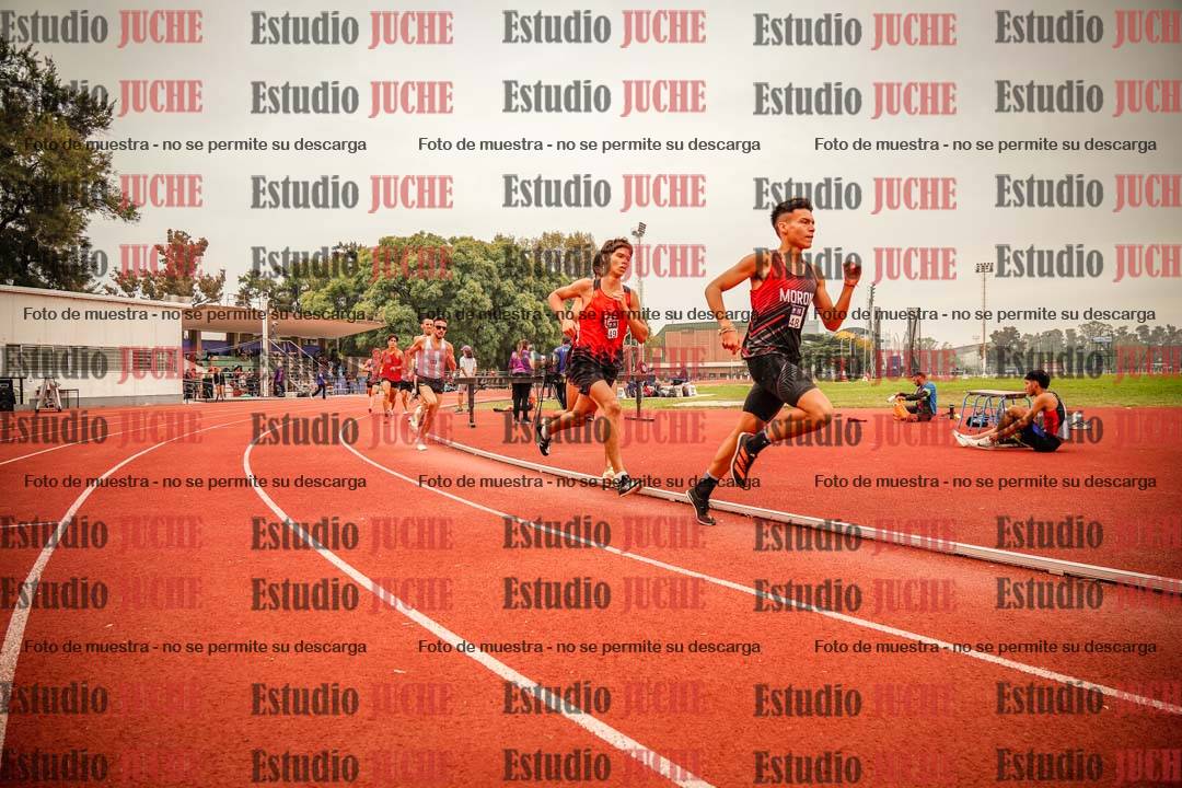 Fotos de los 800 m llanos de varones
