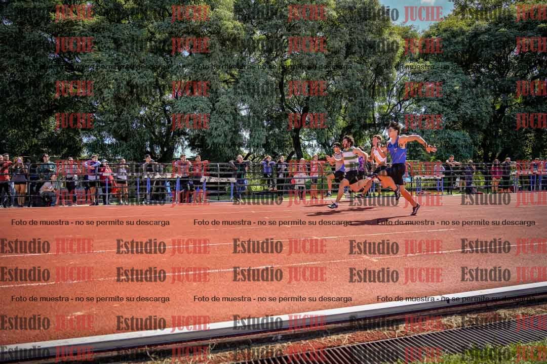 Fotos de los 100 m de varones