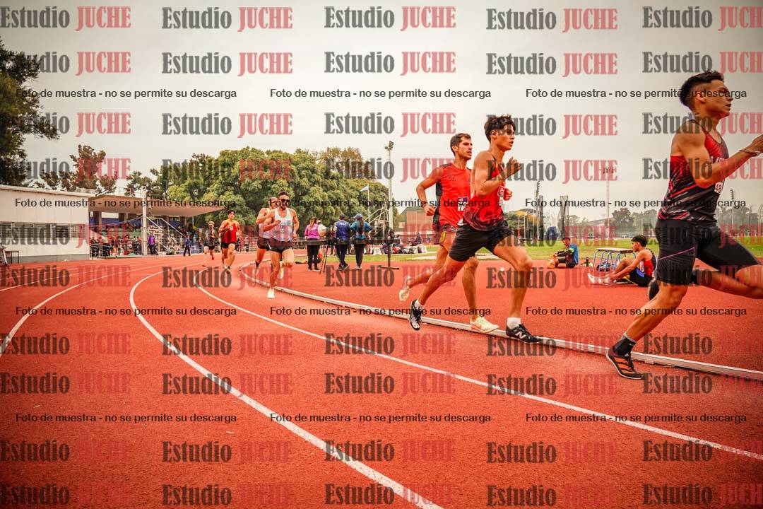 Fotos de los 800 m llanos de varones