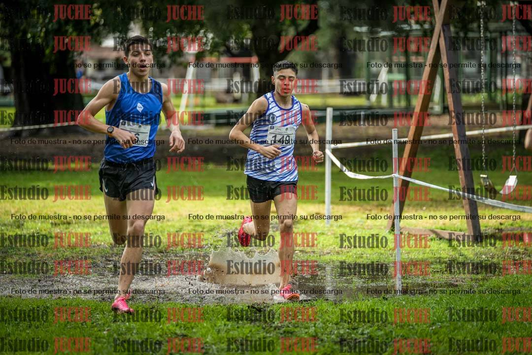 Fotos en el circuito