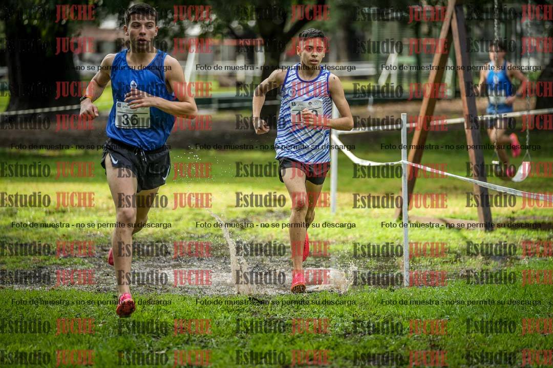 Fotos en el circuito
