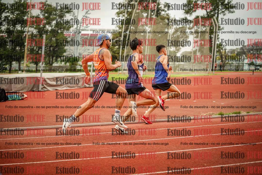 Fotos de los 800 m llanos de varones