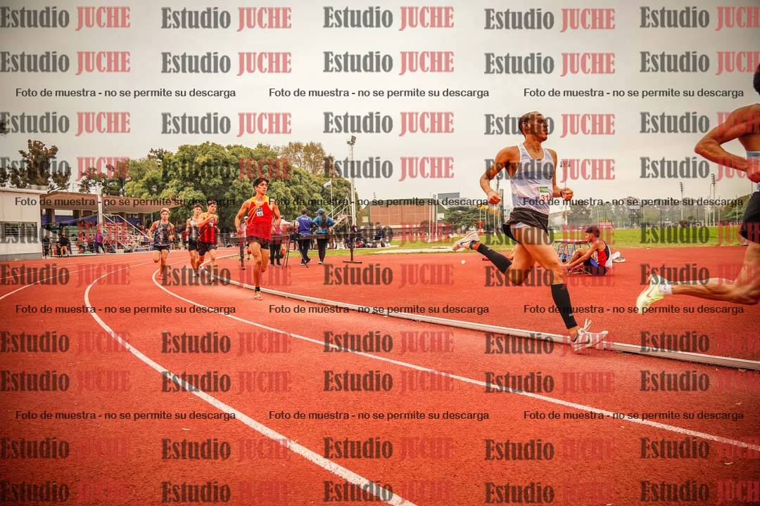 Fotos de los 800 m llanos de varones
