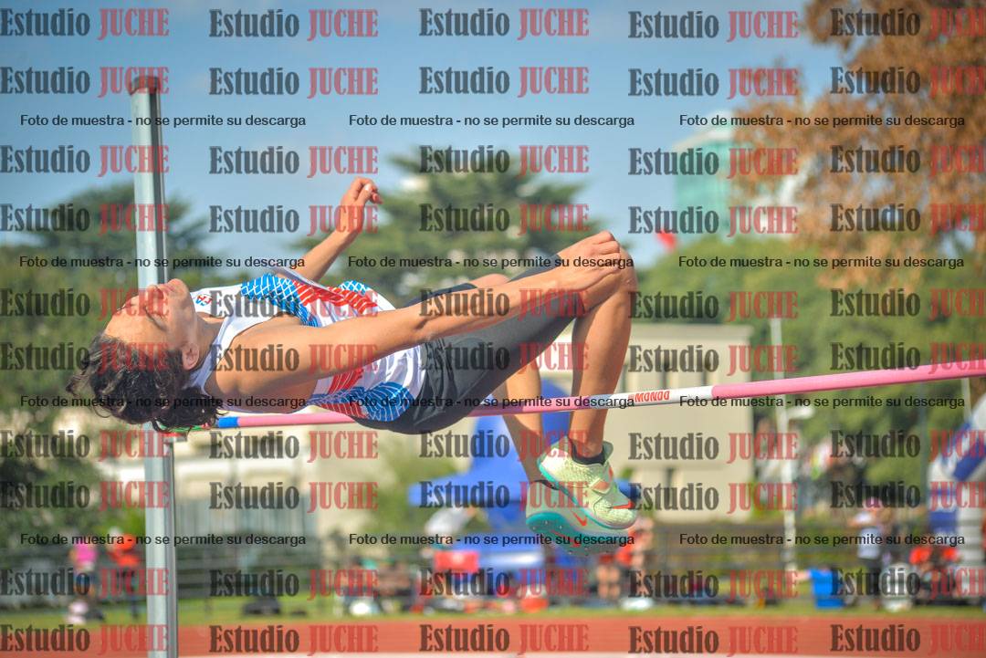 Fotos del salto en alto de varones