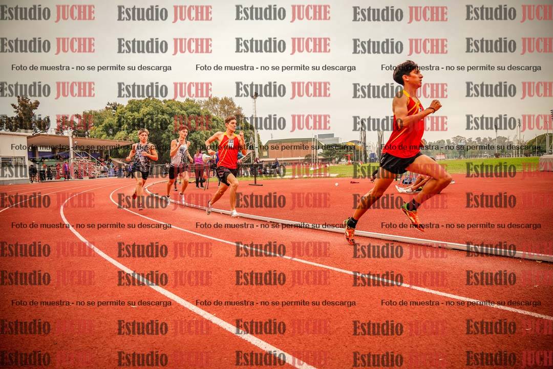 Fotos de los 800 m llanos de varones