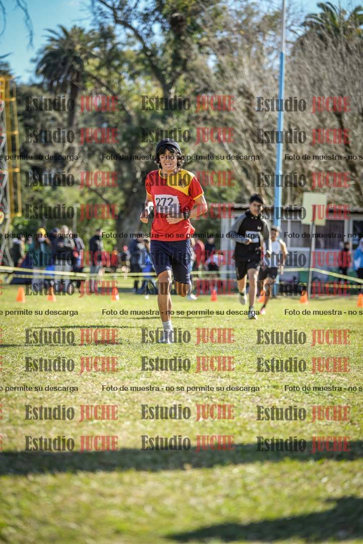 Fotos de la llegada del cross de 2000 m