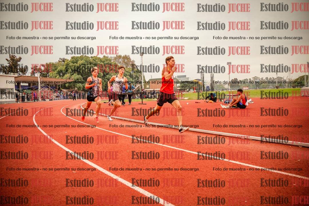 Fotos de los 800 m llanos de varones