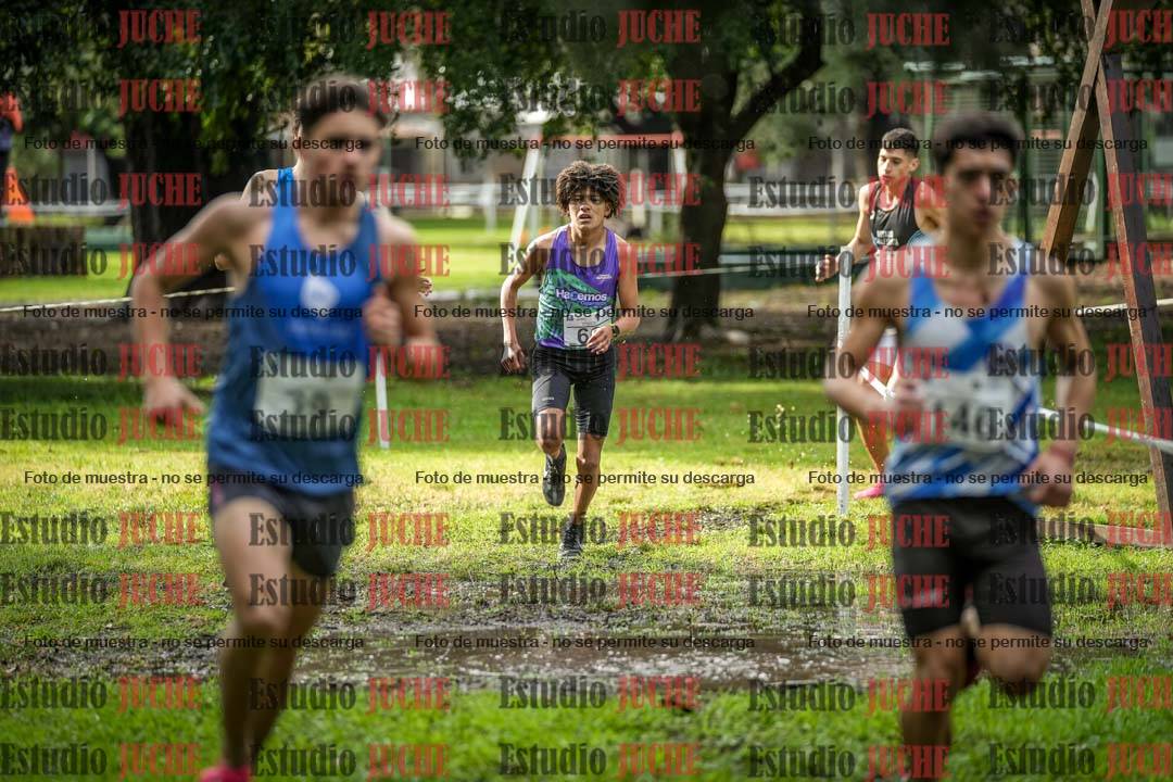 Fotos en el circuito