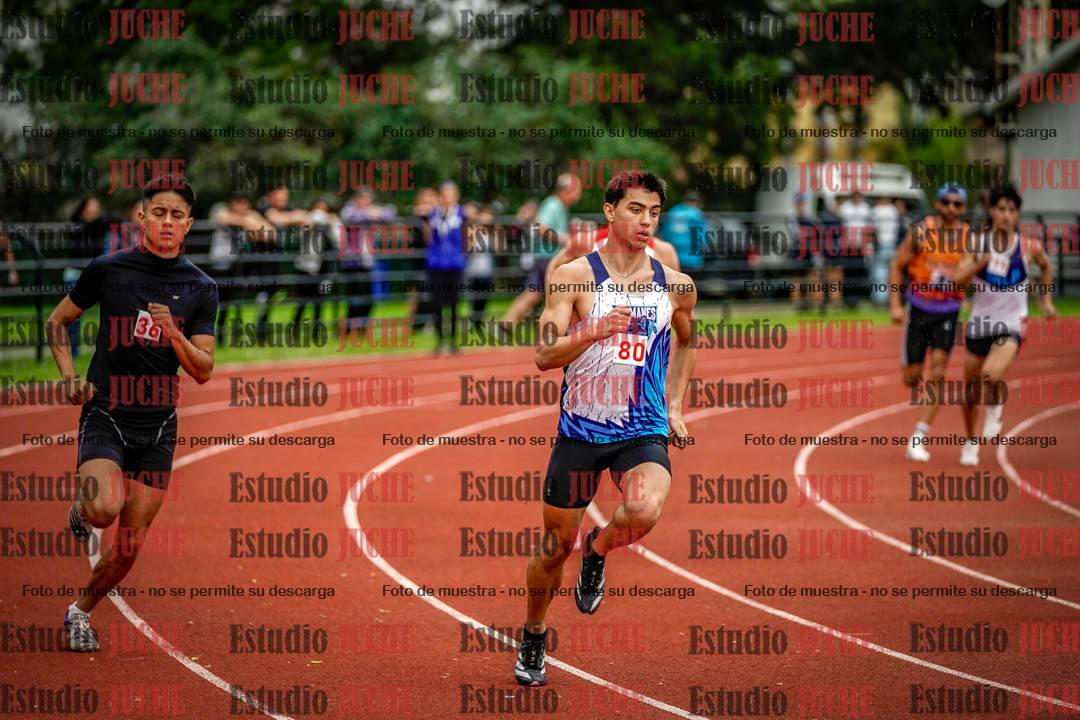 Fotos de los 800 m llanos de varones