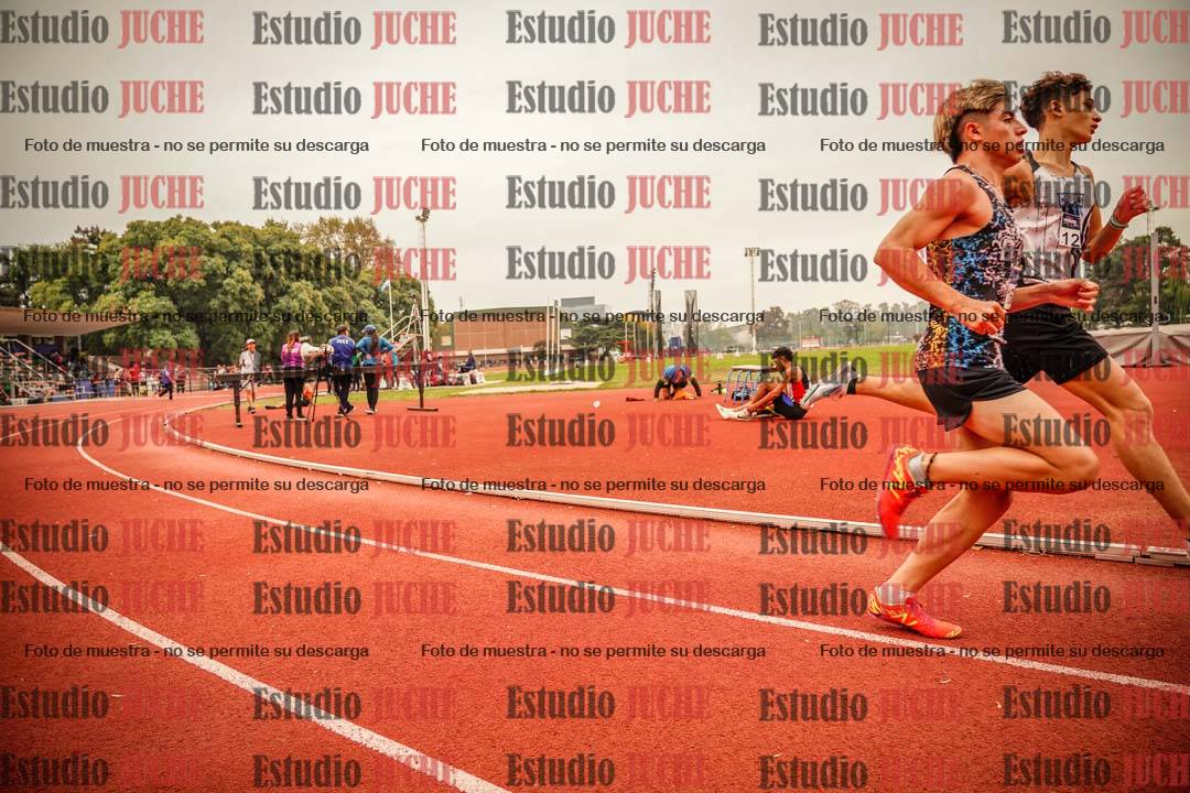 Fotos de los 800 m llanos de varones