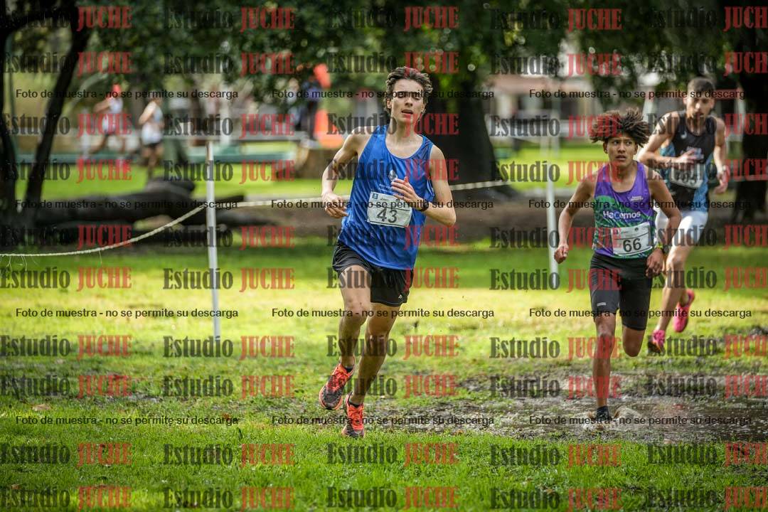 Fotos en el circuito