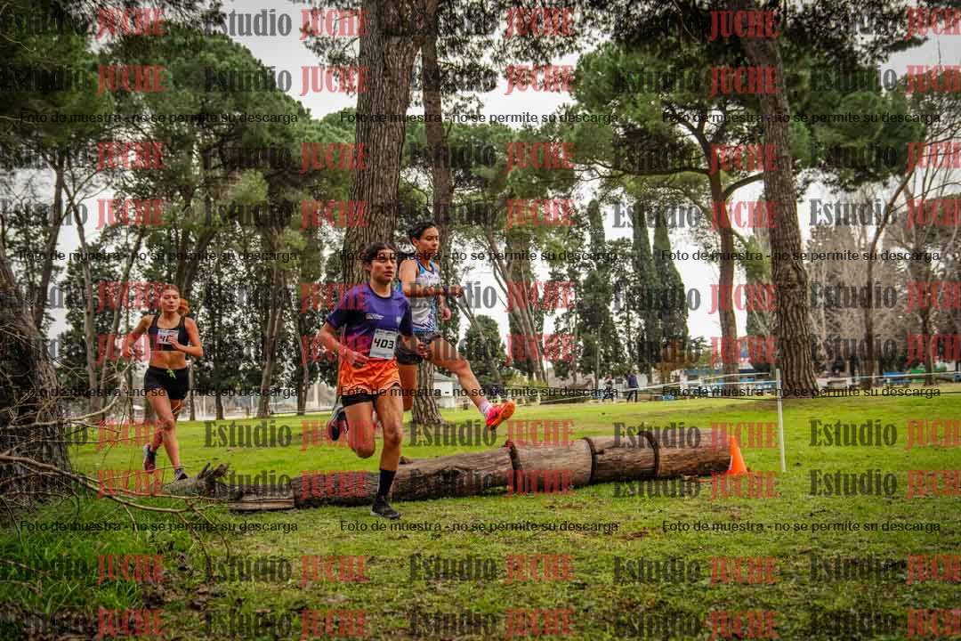 Fotos en el circuito