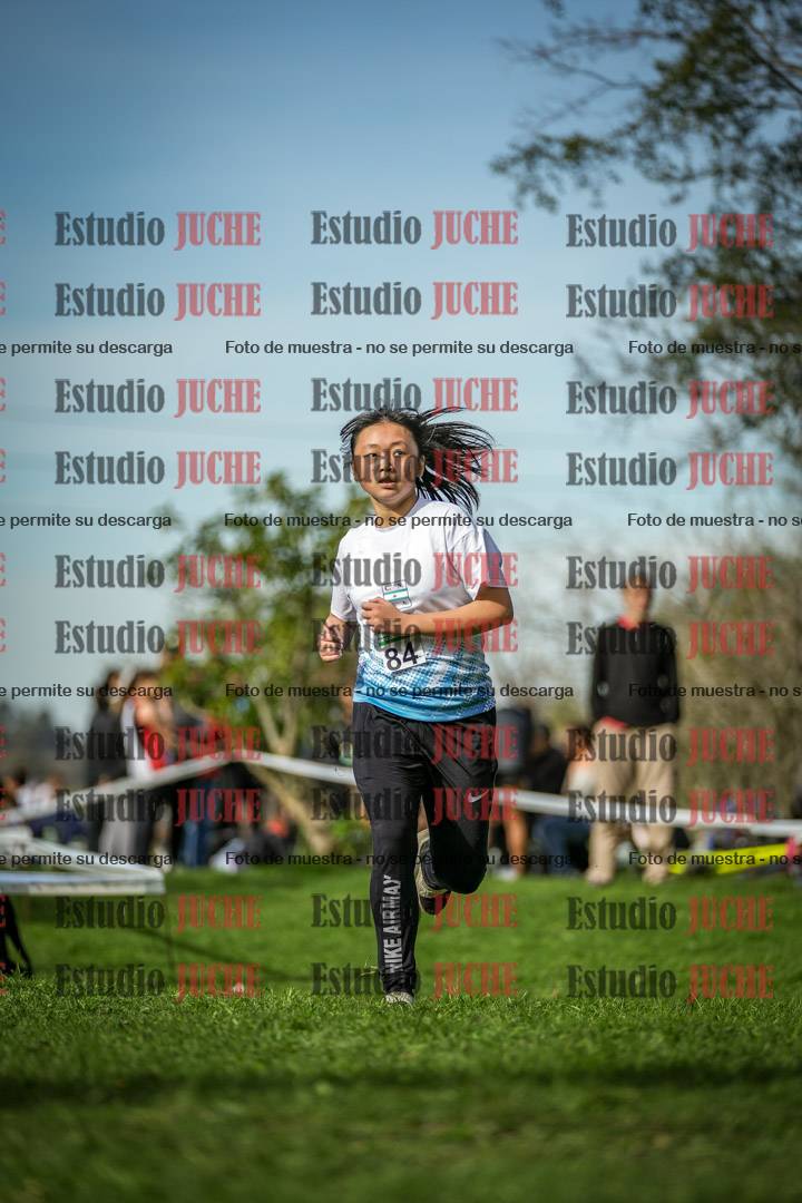 Fotos de la llegada del cross de 2000 m