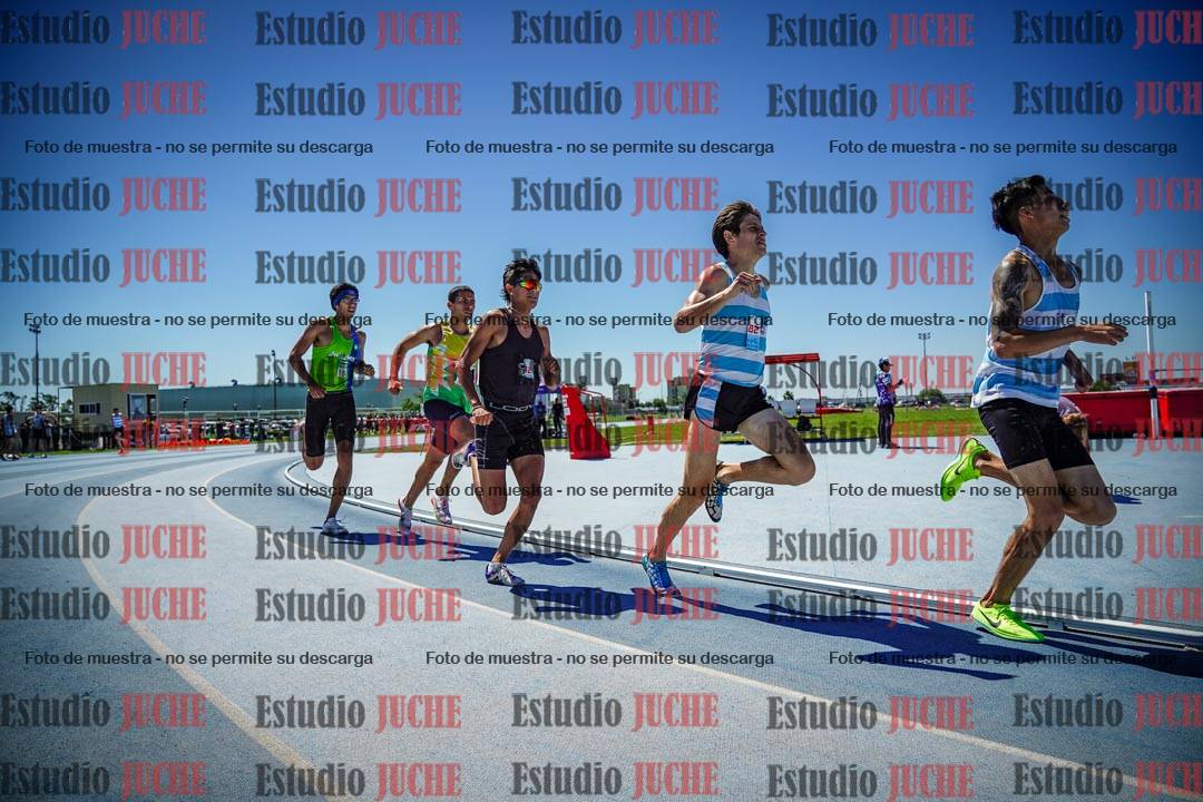 Fotos de los 800 m llanos de varones