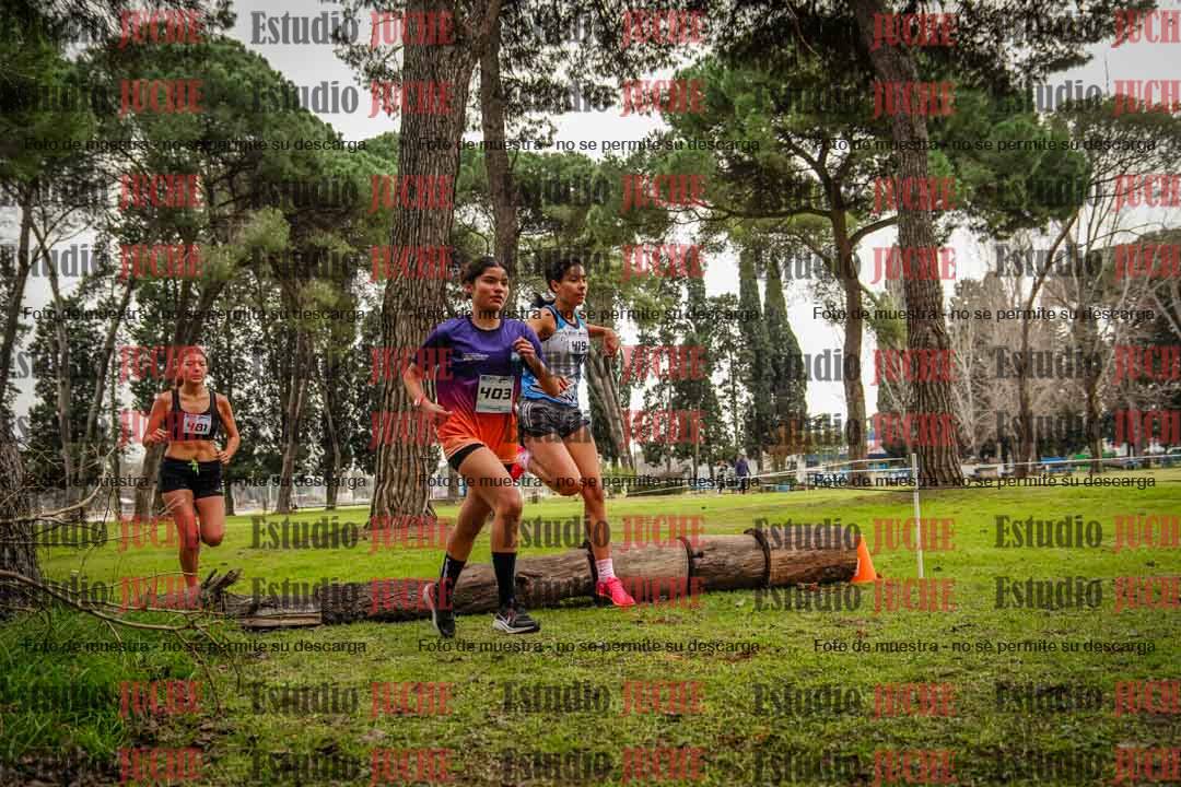 Fotos en el circuito