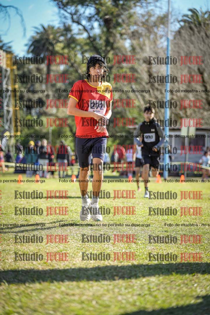 Fotos de la llegada del cross de 2000 m