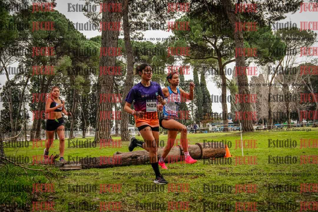 Fotos en el circuito