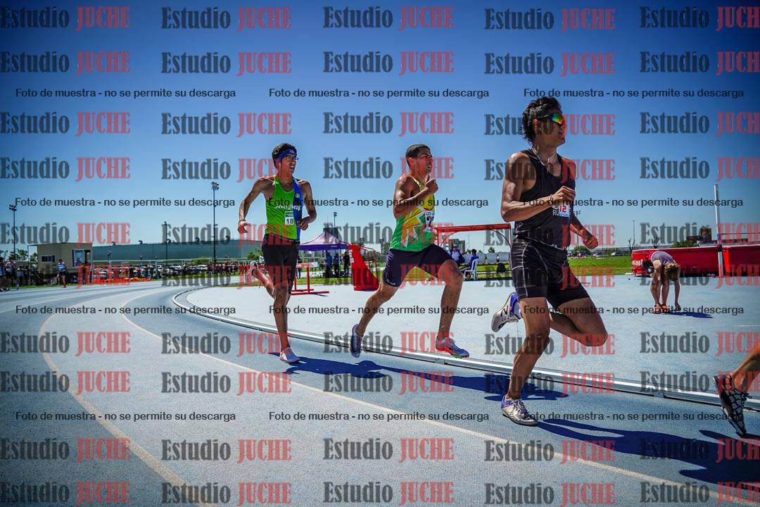 Fotos de los 800 m llanos de varones