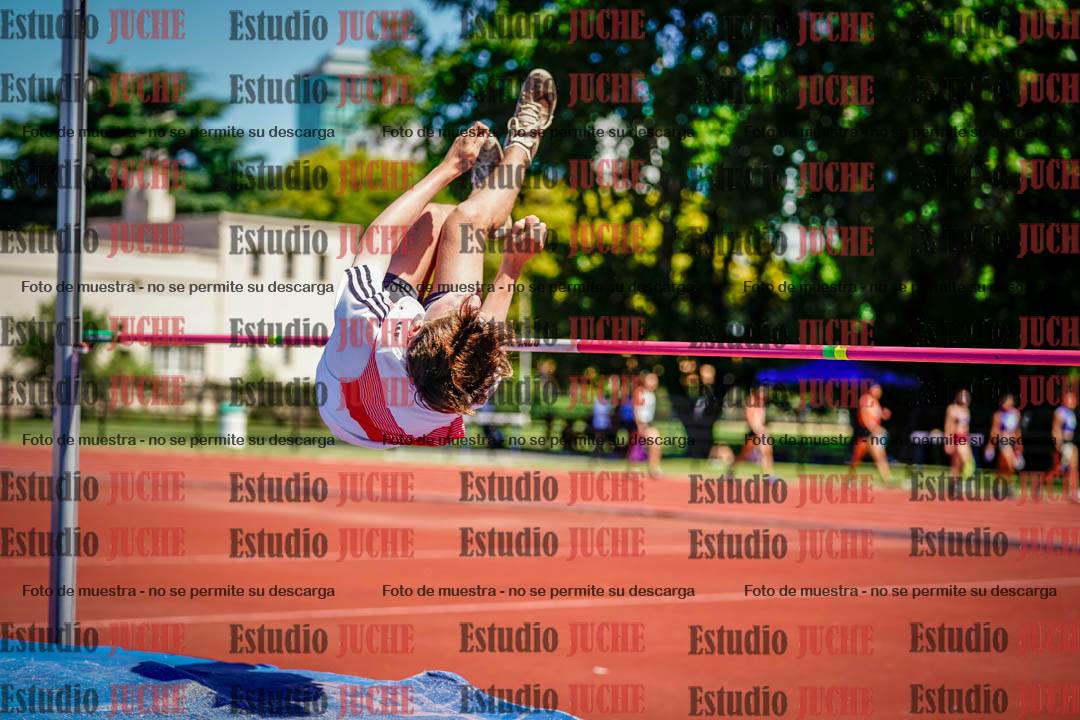 Fotos del salto en alto de varones