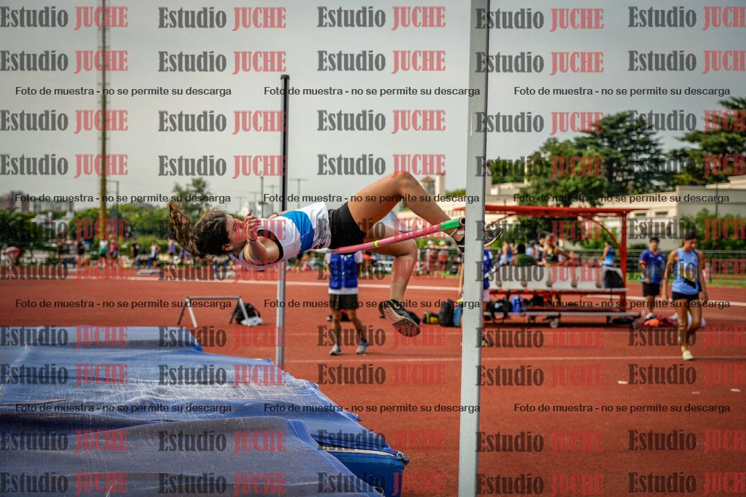Fotos del salto en alto
