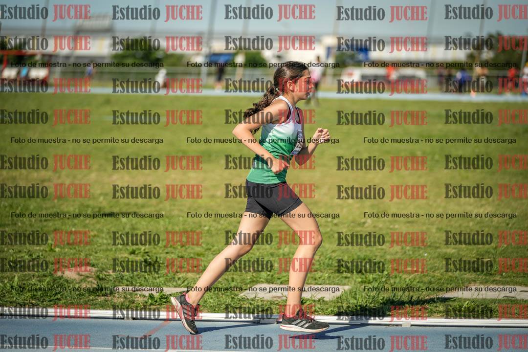Fotos de los 1500 m llanos de mujeres