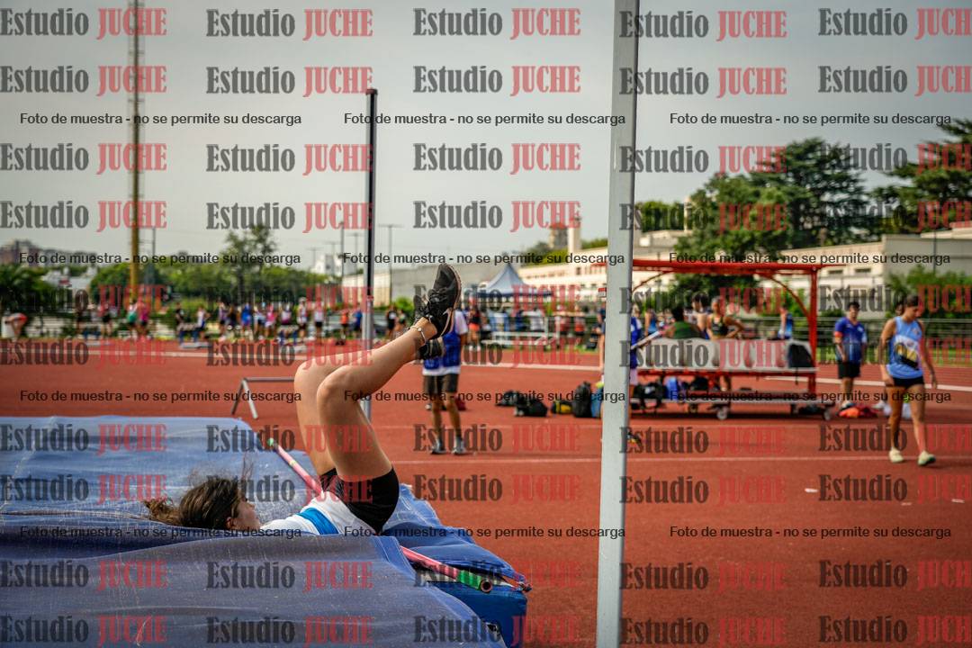 Fotos del salto en alto