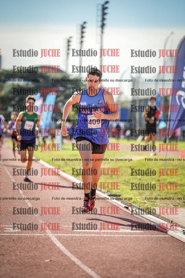 Fotos de los 800 m llanos de varones