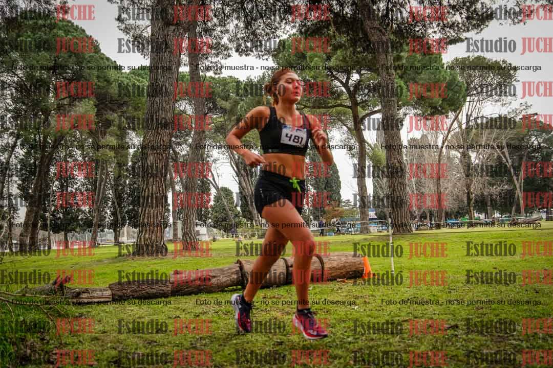 Fotos en el circuito