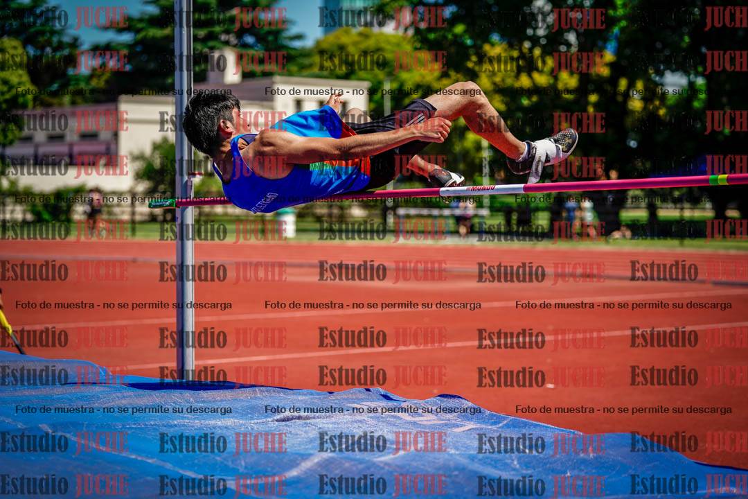 Fotos del salto en alto de varones