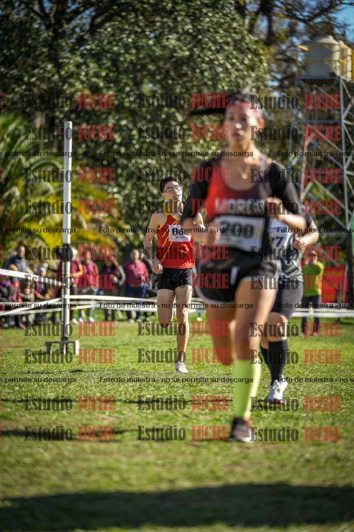 Fotos de la llegada del cross de 6000 m